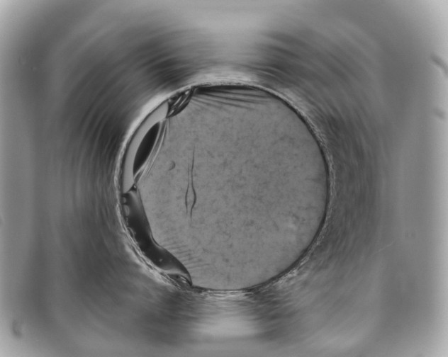 X0000097850864200804111127