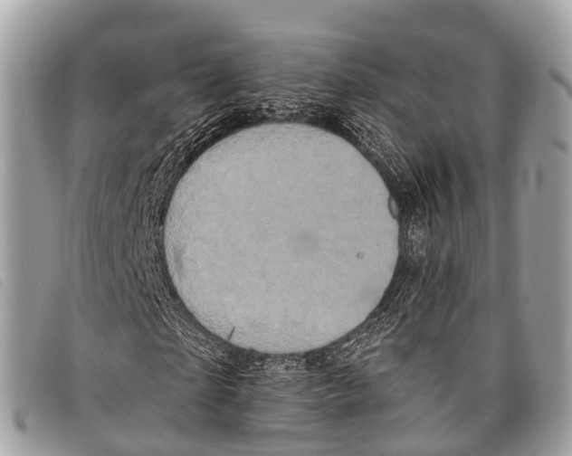 X0000097850865200804111126