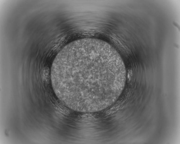 X0000097850867200804111126