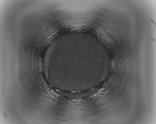 X0000097850868200804111126