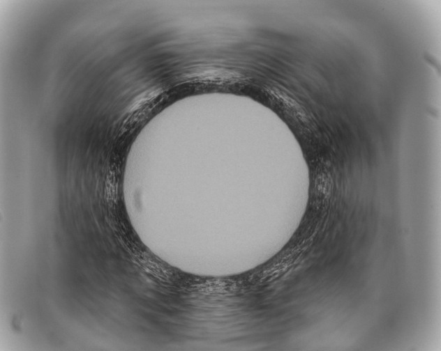 X0000097850869200804111126