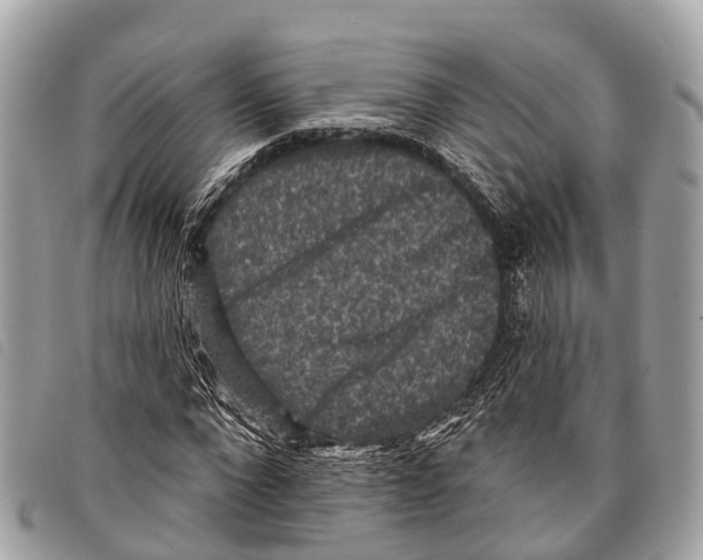 X0000097850872200804111126