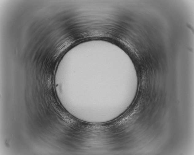 X0000097850873200804111126