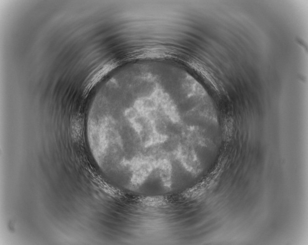 X0000097850874200804111126