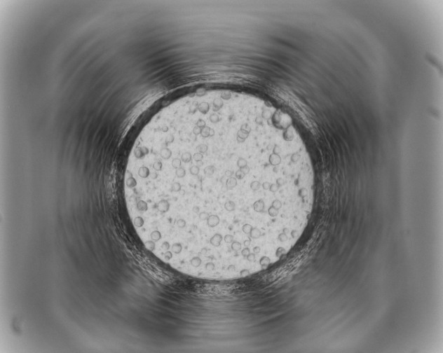 X0000097850875200804111126