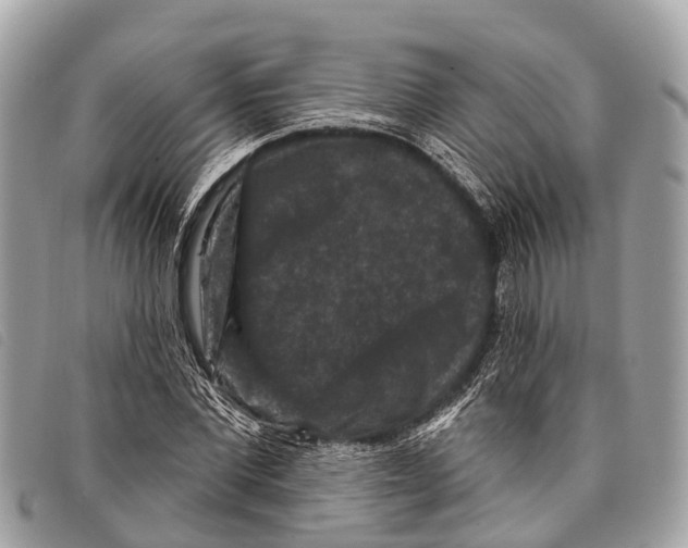 X0000097850877200804111126