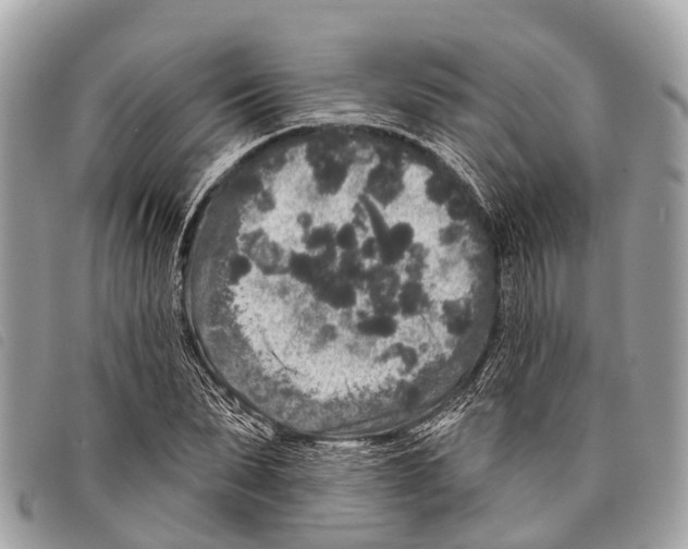 X0000097850879200804111126