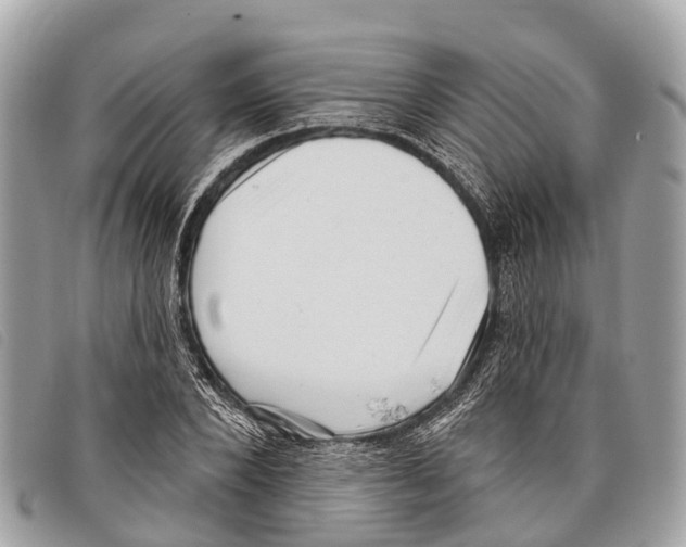 X0000097850880200804111126