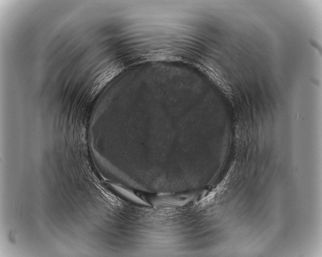 X0000097850881200804111126