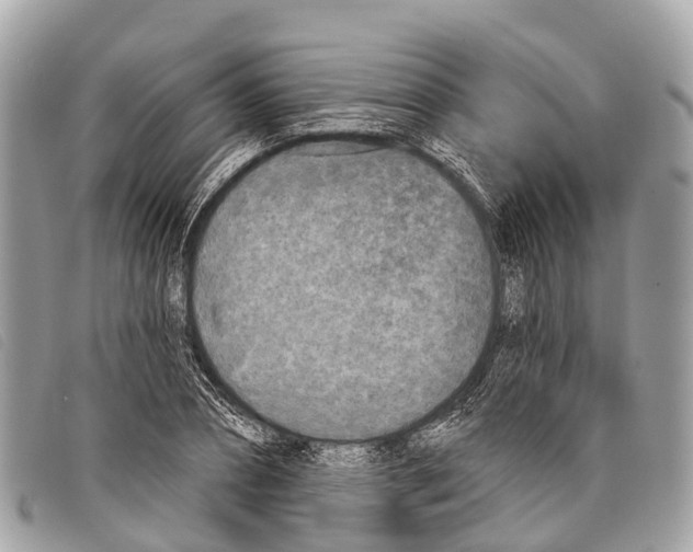 X0000097850882200804111126