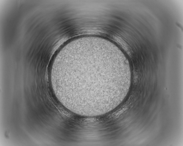 X0000097850883200804111126