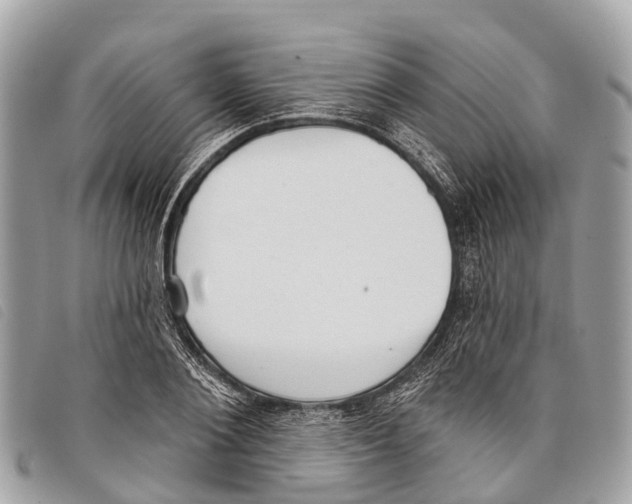 X0000097850884200804111126