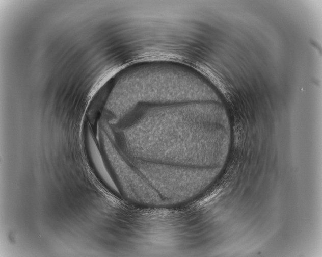 X0000097850885200804111126