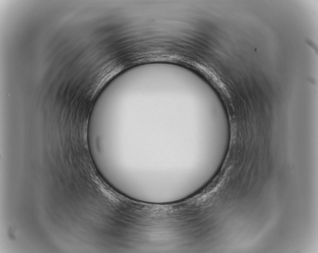 X0000097850889200804111126