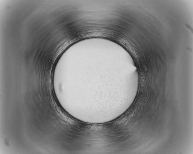 X0000097850890200804111126