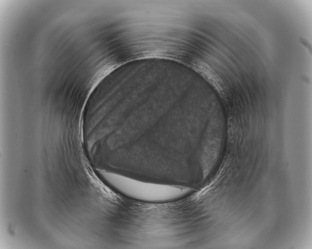 X0000097850892200804111126