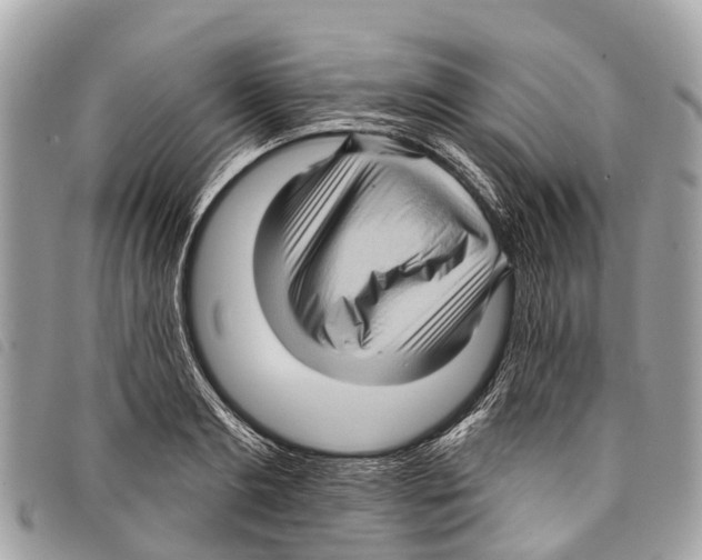 X0000097850893200804111126