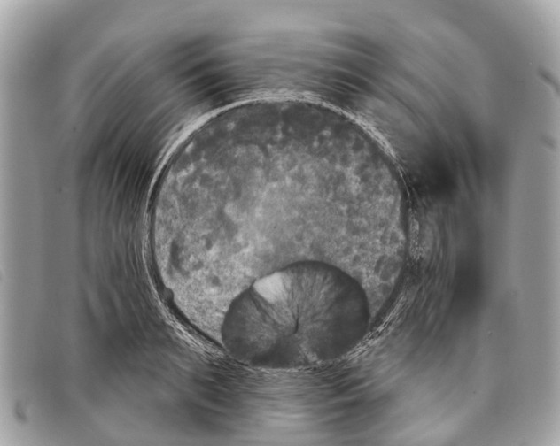 X0000097850895200804111126