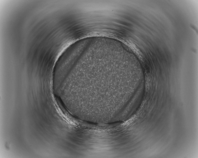 X0000097850896200804111126