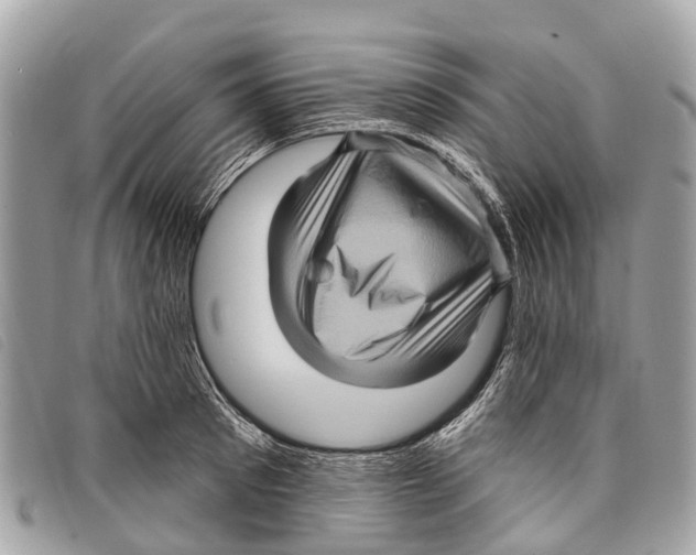 X0000097850897200804111126