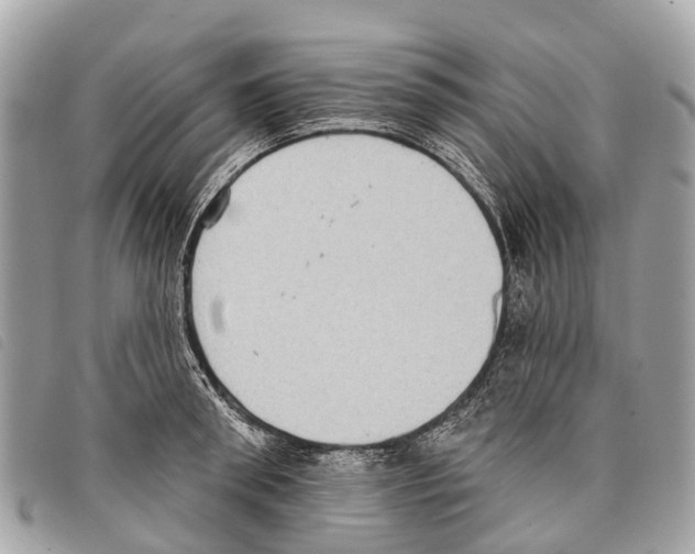 X0000097850898200804111126