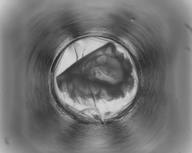 X0000097850899200804111126