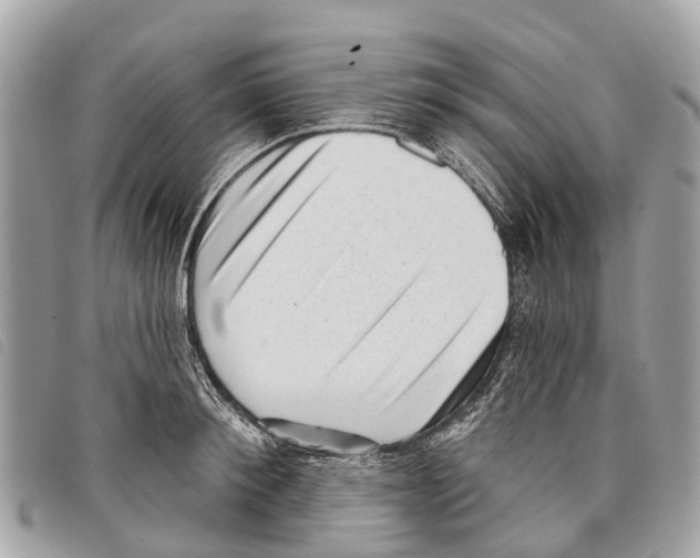 X0000097850900200804111126