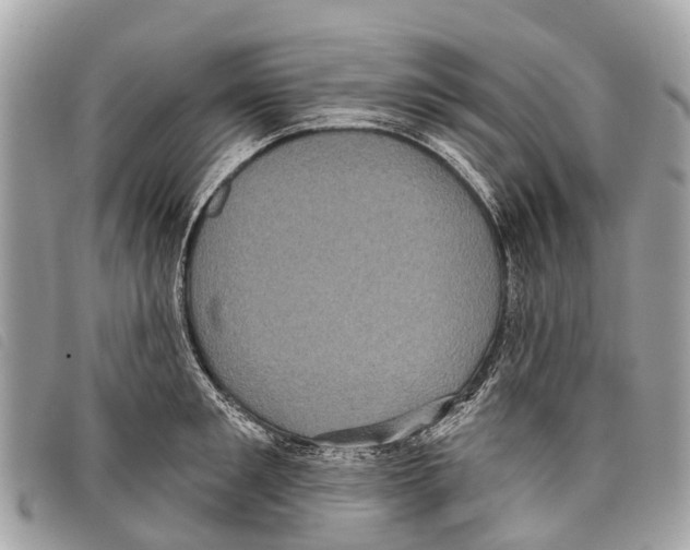 X0000097850901200804111126