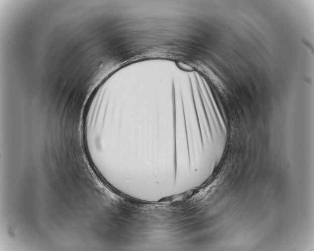 X0000097850902200804111126