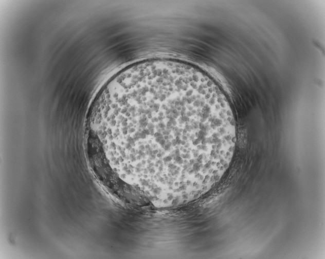 X0000097850903200804111126