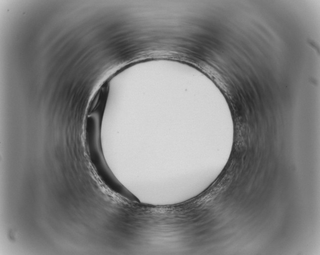 X0000097850904200804111126