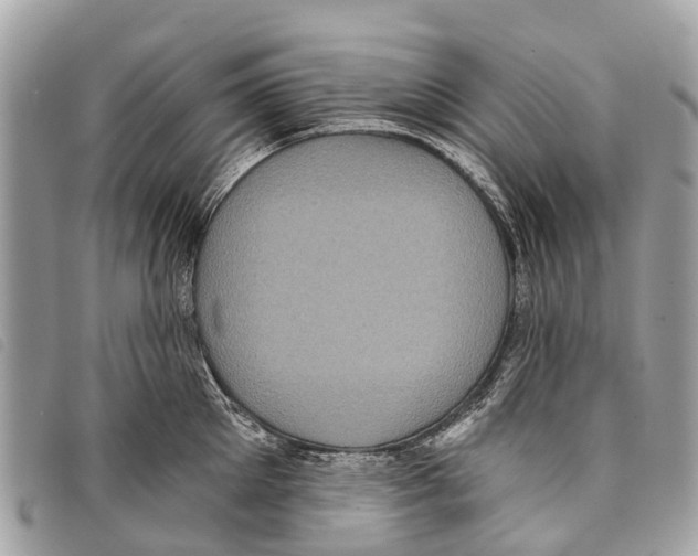 X0000097850905200804111126