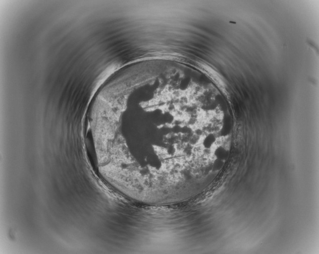 X0000097850907200804111125