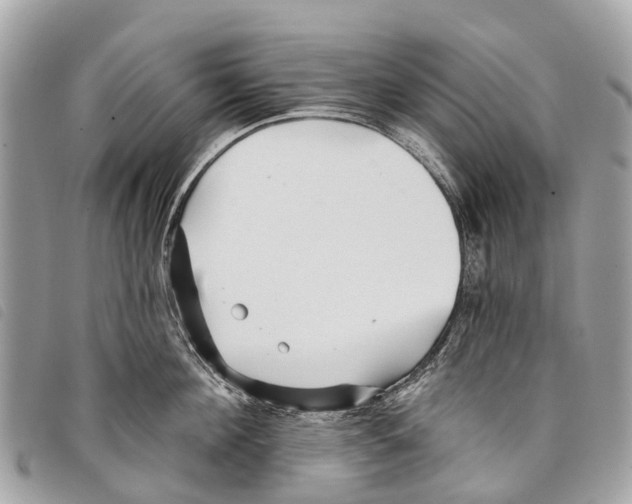 X0000097850908200804111125