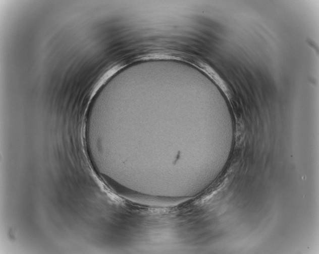 X0000097850909200804111125