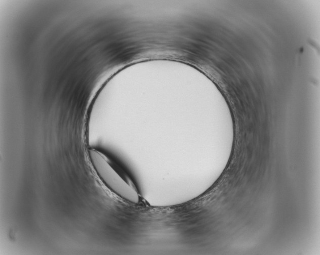 X0000097850912200804111125