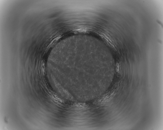 X0000097850915200804111125