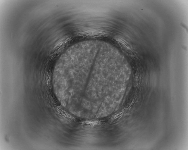 X0000097850917200804111125