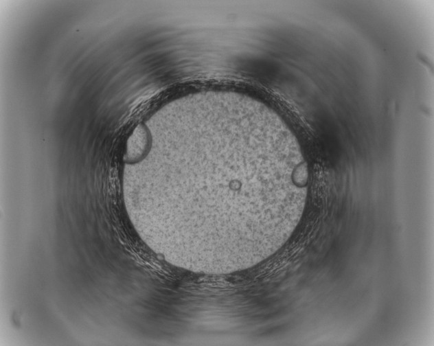 X0000097850918200804111125