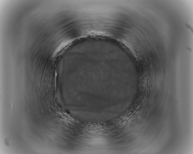 X0000097850919200804111125