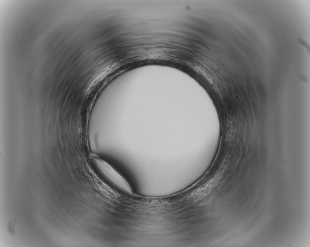 X0000097850922200804111125