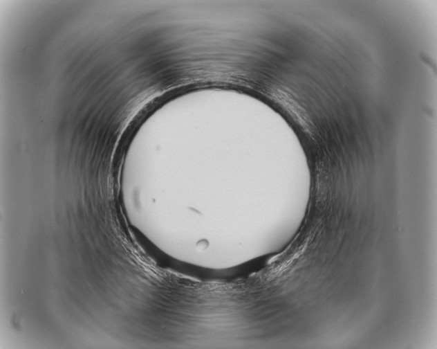 X0000097850924200804111125