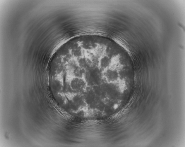 X0000097850925200804111125