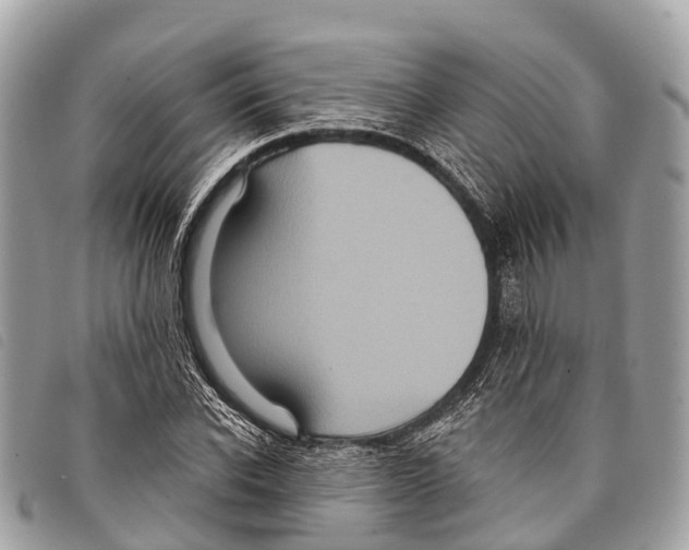 X0000097850926200804111125