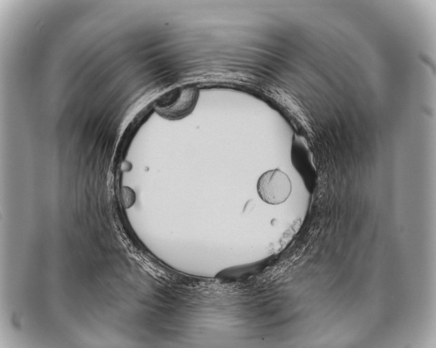 X0000097850928200804111125