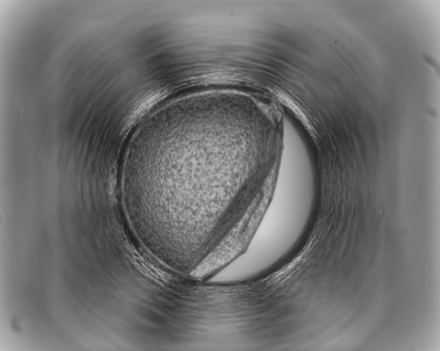 X0000097850930200804111125