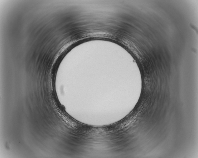 X0000097850931200804111125