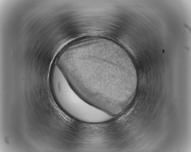 X0000097850932200804111125