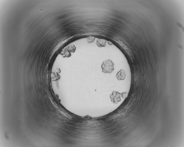 X0000097850933200804111125