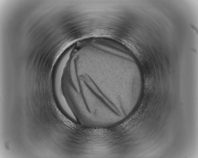 X0000097850934200804111125